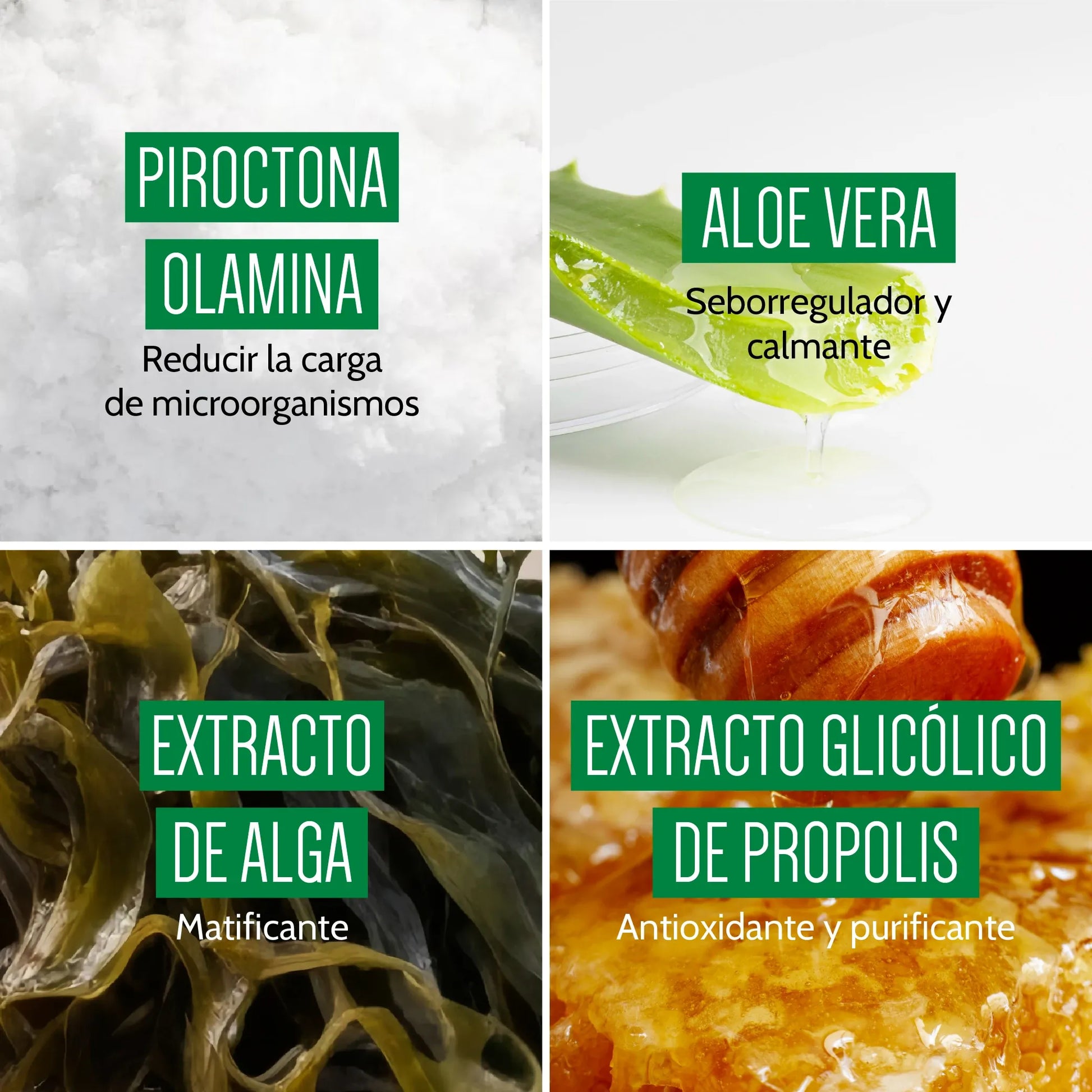 Tienda Piel