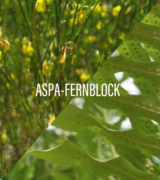 Heliocare 360° Water Gel SPF50+ Color Bronze x50ml