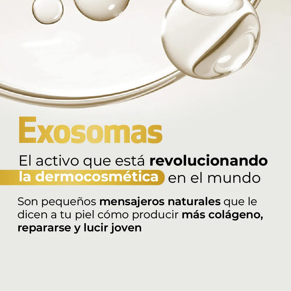 Tienda Piel