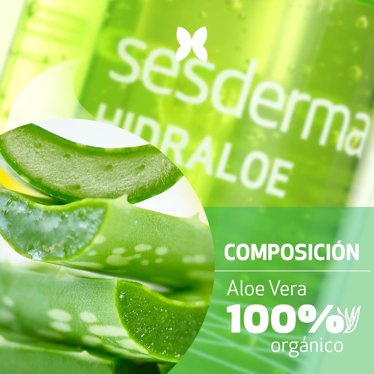 Sesderma Hidraloe Gel De Aloe x250ml