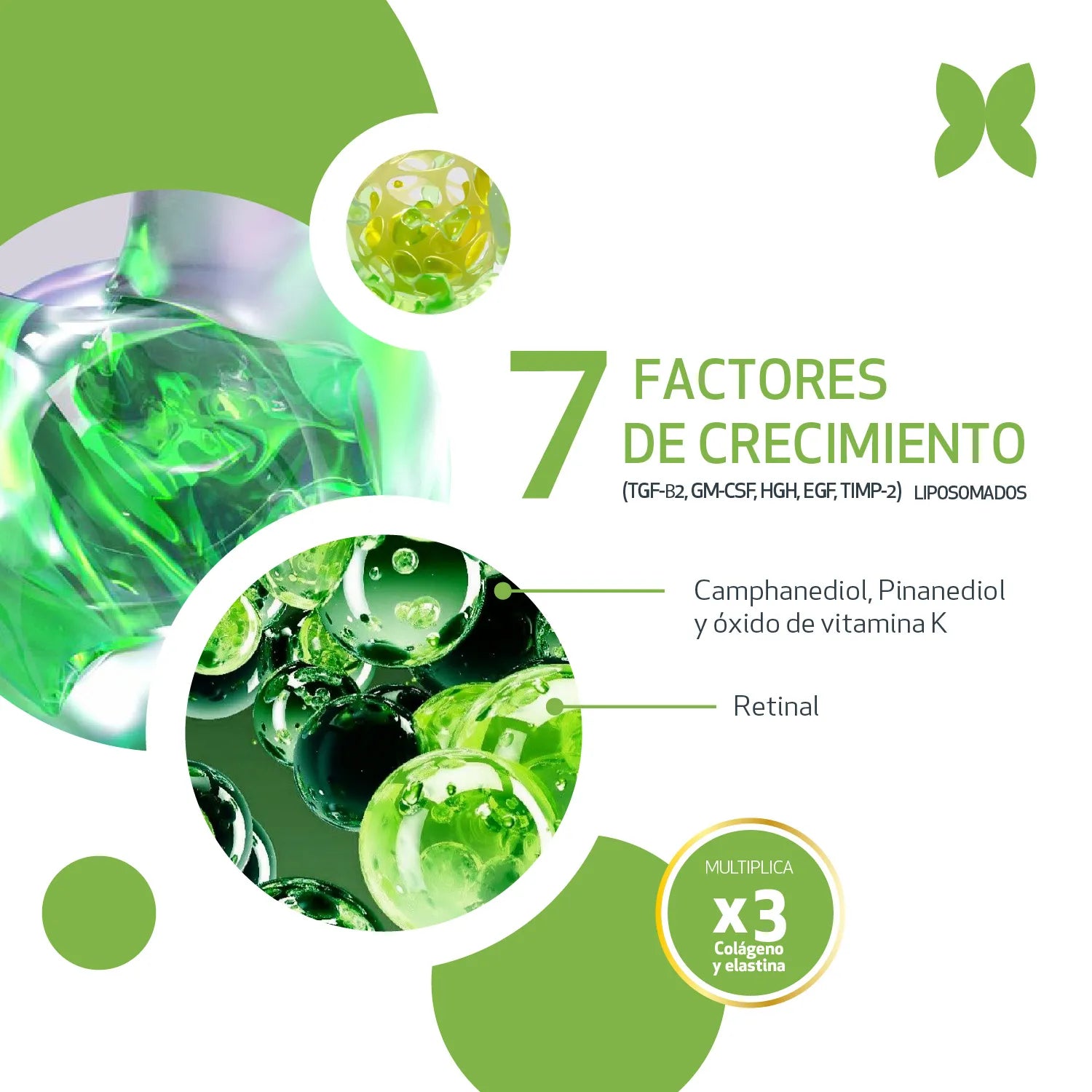 Sesderma Factor G Renew Contorno De Ojos x15ml