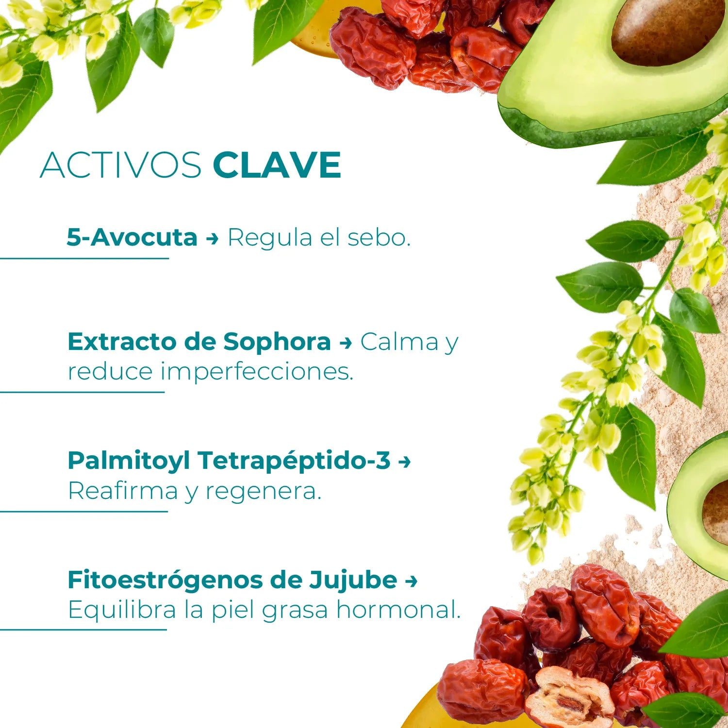 Tienda Piel